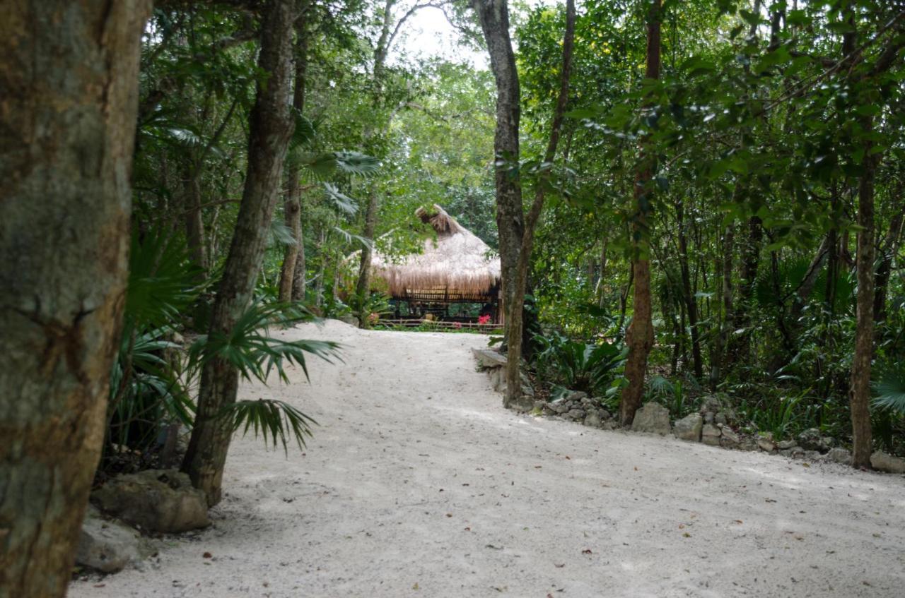 Rotamundos Mama Loomm Hotel Playa del Carmen Bagian luar foto