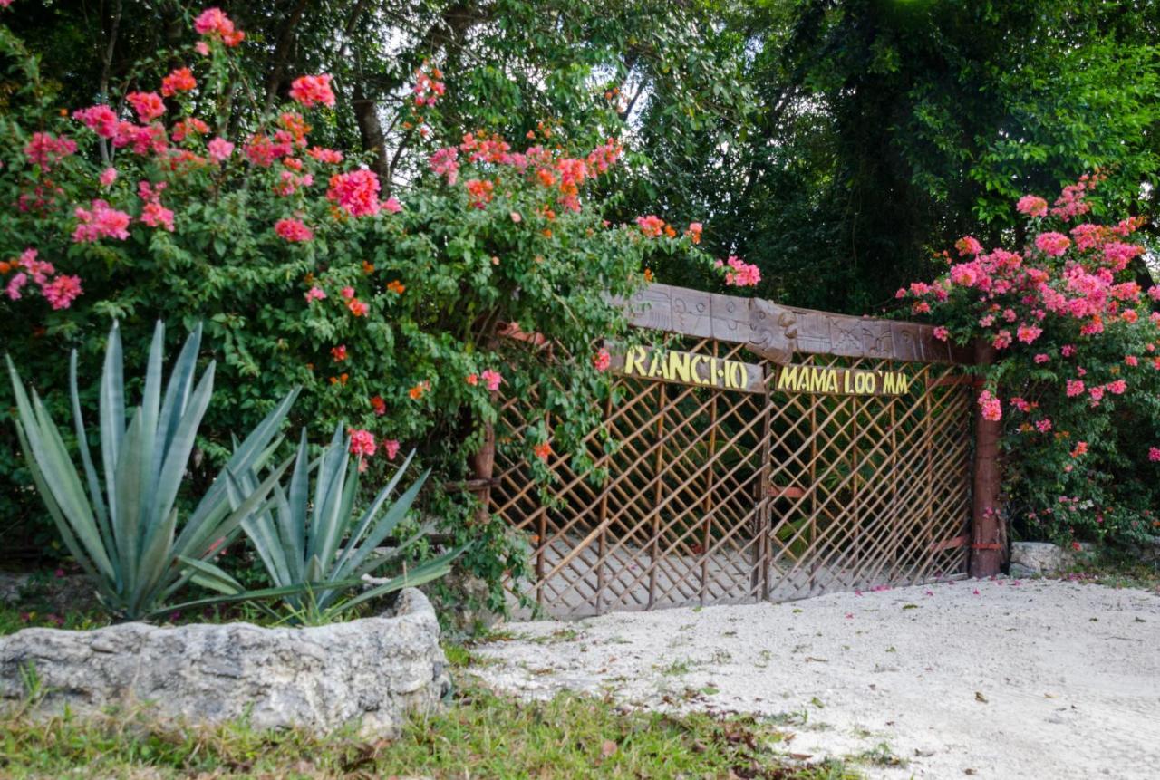 Rotamundos Mama Loomm Hotel Playa del Carmen Bagian luar foto