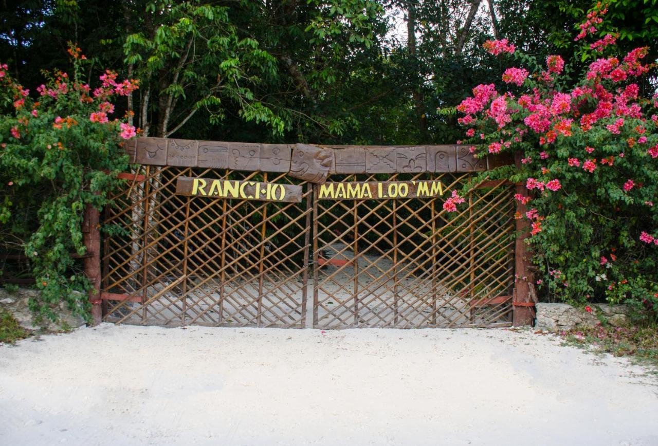 Rotamundos Mama Loomm Hotel Playa del Carmen Bagian luar foto